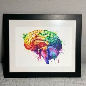 12  9x11” Original Watercolor Anatomy Art In Frame